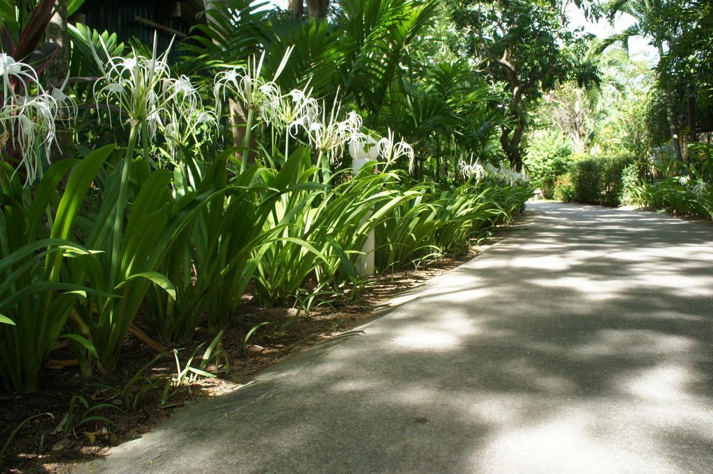 Palm Village Rawai Exterior foto