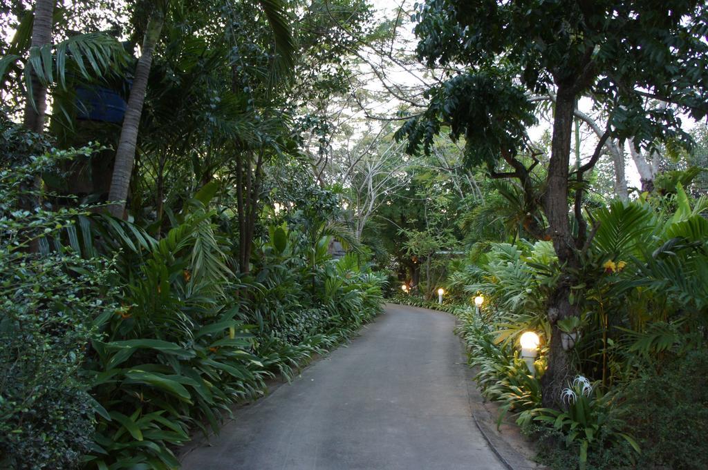 Palm Village Rawai Exterior foto